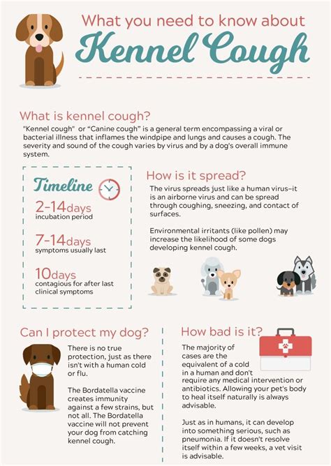 kennel cough etiology